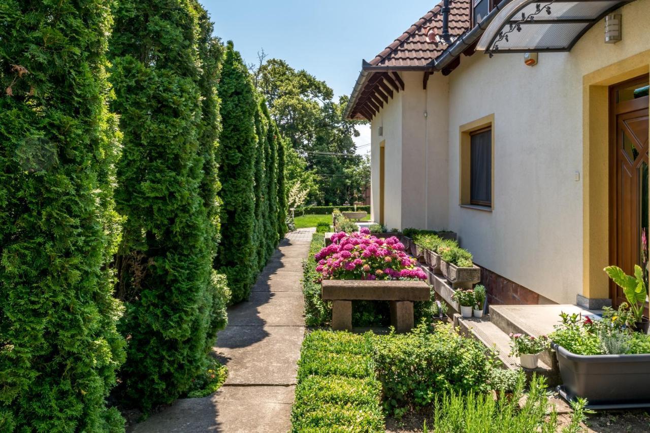 Mikes Vendeghaz Hotel Balatonfüred Buitenkant foto